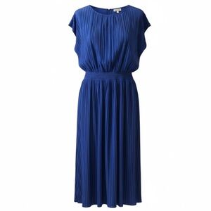 Prologue Plus Size Elegant Blue Pleated Maxi Dress